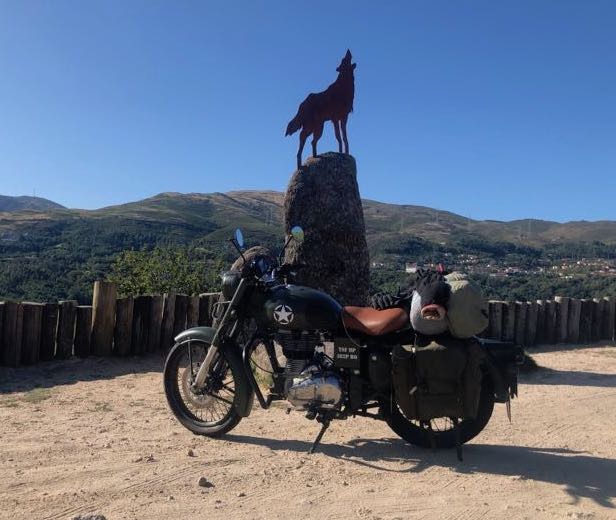 royal enfield y lobo