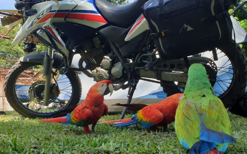 Moto y papagayos en la Carretera Panamericana